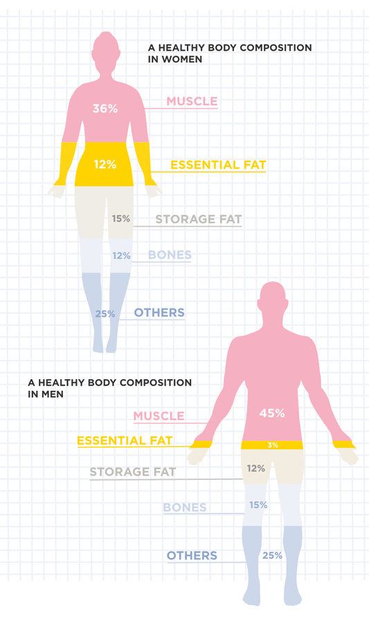 Post #3: What Insights do our Body Measurements Provide?