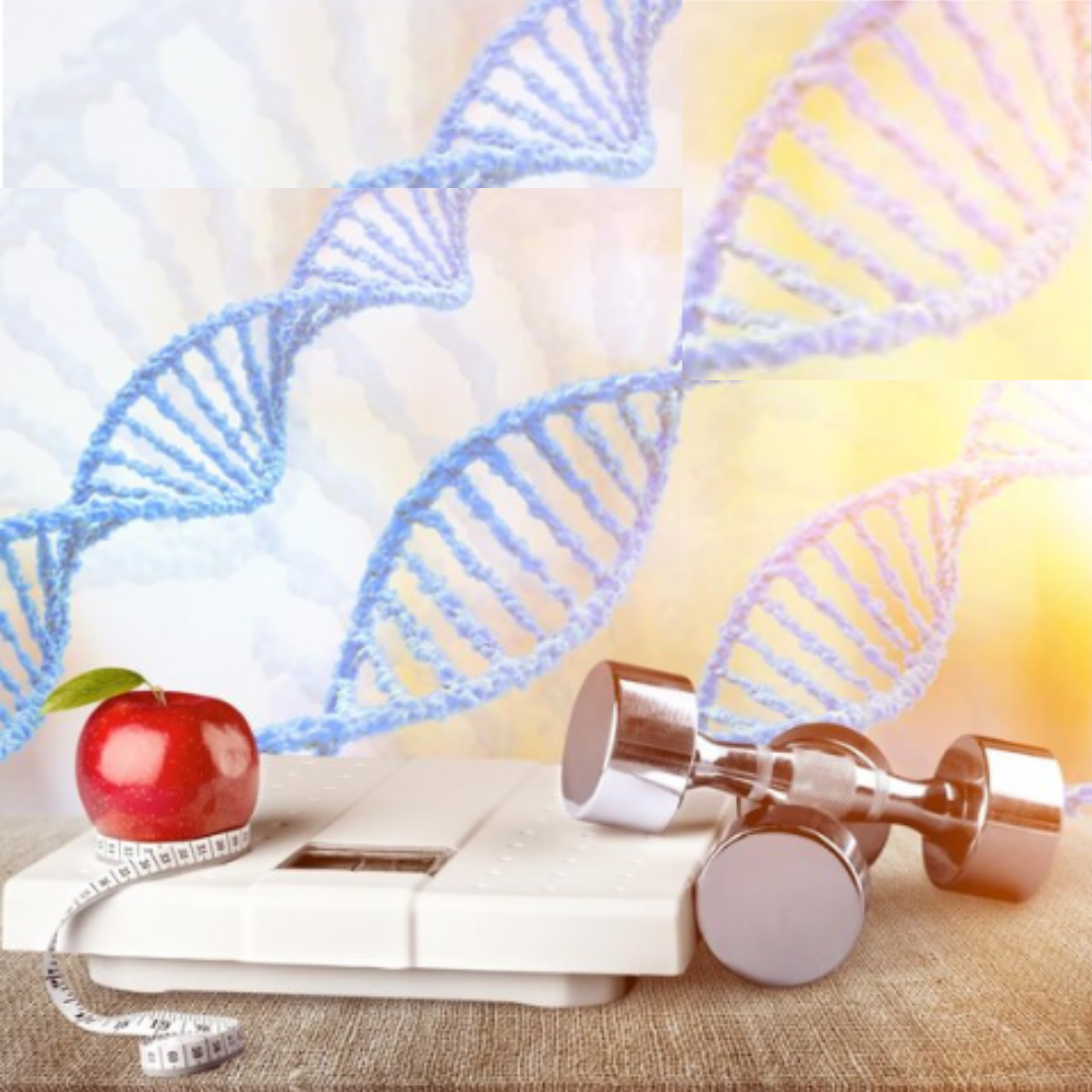 Nutrigenomics Program – DNA Test